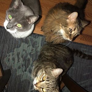 Meet your Posher, Laura